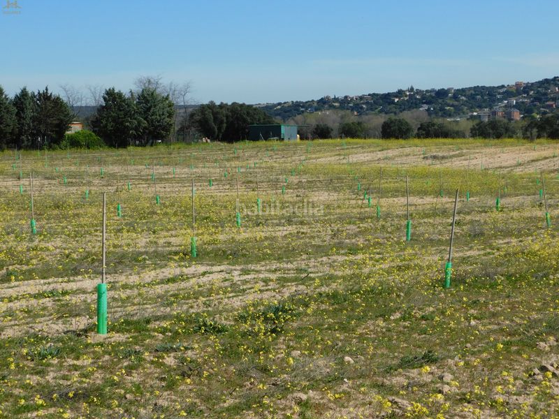 Foto c5cb9526-fafe-4adc-b9f5-fa125733ca5a. Finca rústica  de 104.853 m² en Villa del Prado