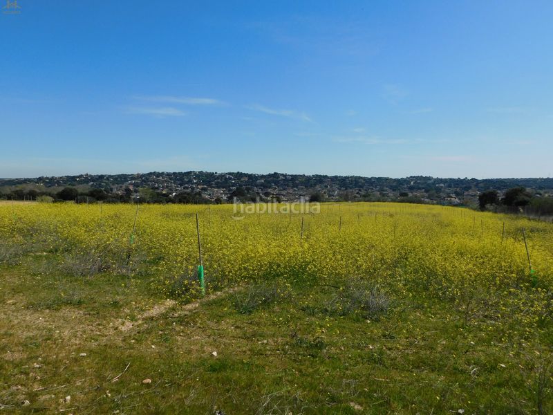Foto d0d1084d-455e-4ef5-9f58-a82088360292. Finca rústica  de 104.853 m² en Villa del Prado