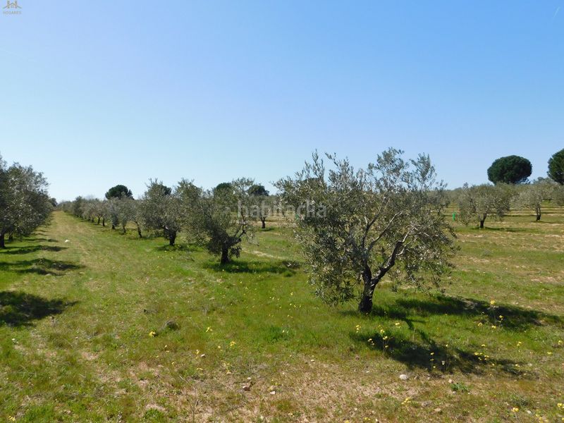 Foto d520952b-1e0e-4d9f-89ba-7d5817875ef7. Finca rústica  de 104.853 m² en Villa del Prado