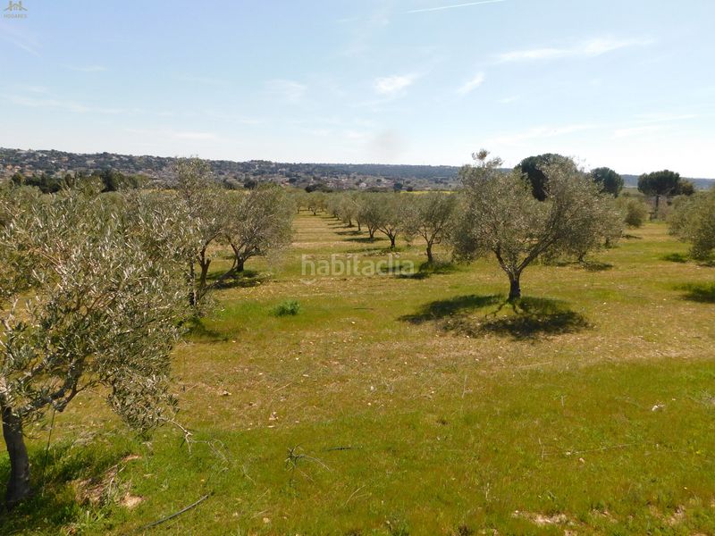 Foto d9389229-86ea-4beb-a6ca-4d92db6733ed. Finca rústica  de 104.853 m² en Villa del Prado