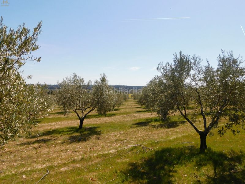 Foto da34d3ef-8e3b-4970-b69a-0a61a28121e7. Finca rústica  de 104.853 m² en Villa del Prado