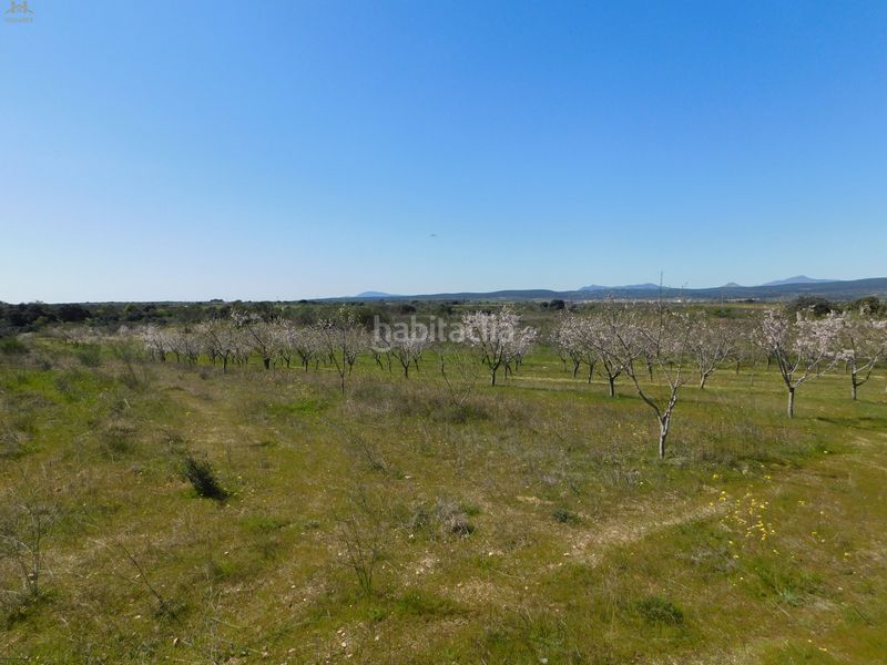 Foto de6379ca-d986-4f30-8f99-c4ca2222cbba. Finca rústica  de 104.853 m² en Villa del Prado