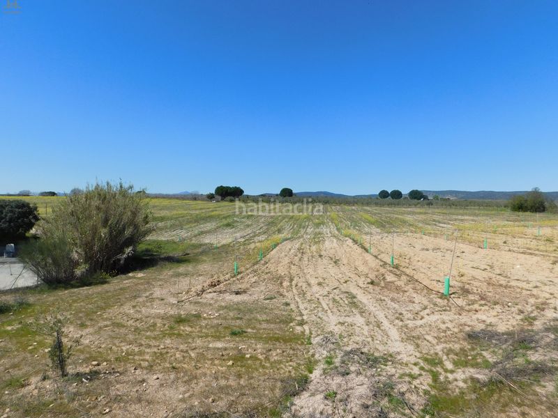 Foto deecc138-bf5a-4b40-b673-ee514a3717ad. Finca rústica  de 104.853 m² en Villa del Prado