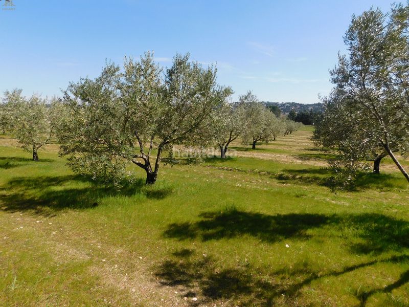 Foto ef9837f4-8b37-4167-9aca-2f6d7e9d77f9. Finca rústica  de 104.853 m² en Villa del Prado