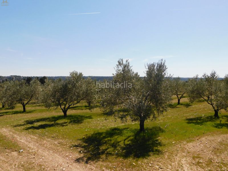 Foto f0a03ecb-8814-4db5-b3c3-cc7895110dba. Finca rústica  de 104.853 m² en Villa del Prado