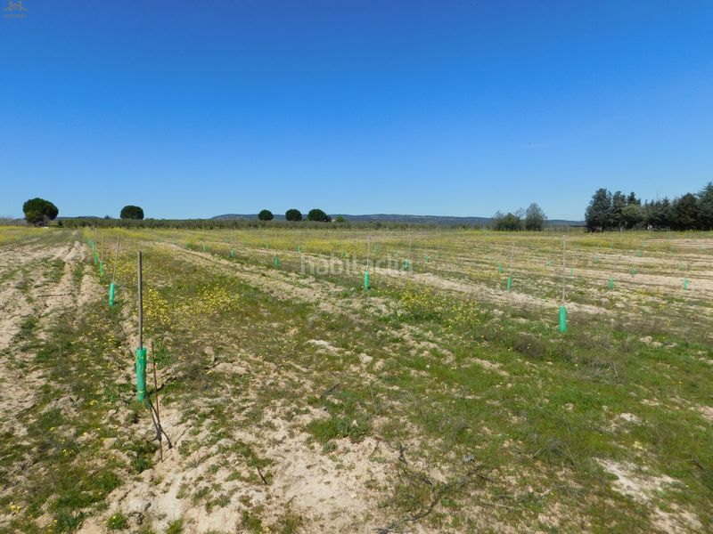 Foto f32f3663-1e37-4472-99e6-5db068e598e0. Finca rústica  de 104.853 m² en Villa del Prado