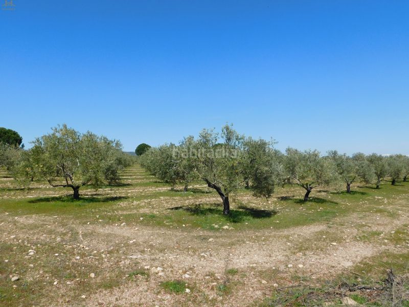 Foto f4966079-1060-4396-ab5e-f3b0b9646fb0. Finca rústica  de 104.853 m² en Villa del Prado