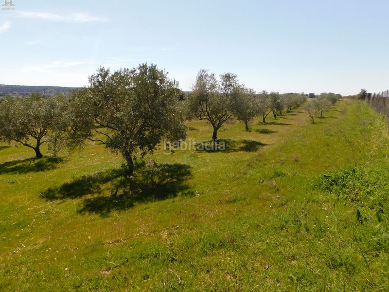 Foto f5767406-12eb-46c4-a3b8-c812a673aff5. Finca rústica  de 104.853 m² en Villa del Prado