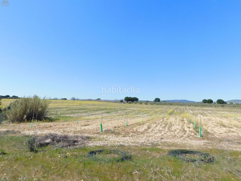 Foto f619fda1-b074-4eb0-a1c3-3f3a52926524. Finca rústica  de 104.853 m² en Villa del Prado