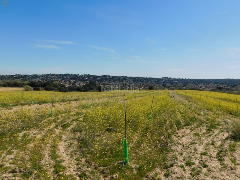 Foto f8867d13-1734-46d2-9a64-9d48a8749f31. Finca rústica  de 104.853 m² en Villa del Prado