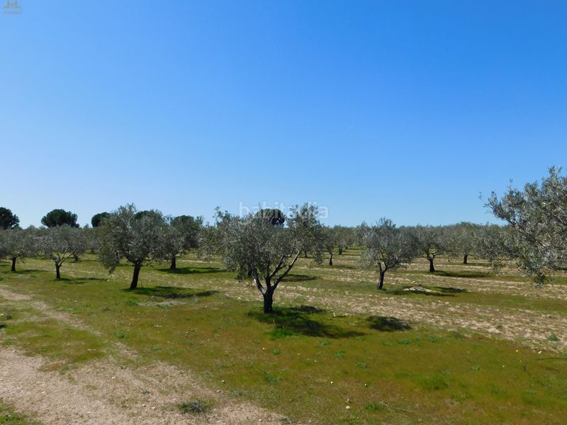Foto f9bc000e-98e5-47e5-9f79-6e5060a6c761. Finca rústica  de 104.853 m² en Villa del Prado