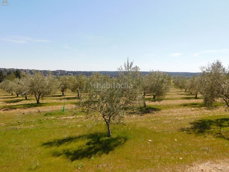 Foto fc8ab62b-43eb-410a-be67-29d1c140fdab. Finca rústica  de 104.853 m² en Villa del Prado