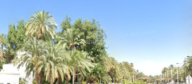 Foto b1ef34d4-f05c-424c-bfc2-2237ccd8f771. Locale commerciale in Centro Elche / Elx