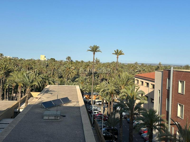 Foto 01537a42-3074-4a8a-b7b2-8b7824ea30c5. Appartement dans El Raval - Portes Encarnades Elche / Elx