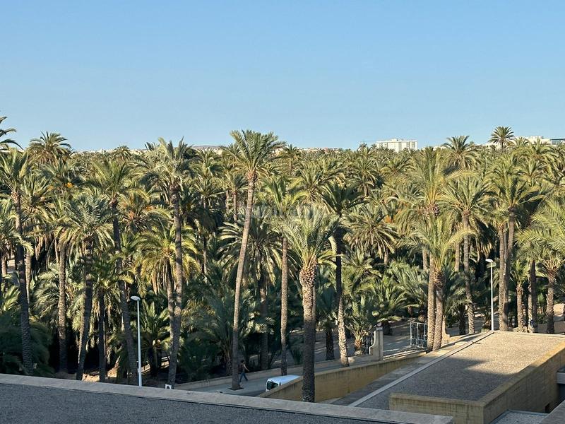 Foto a3212e89-4599-4a0f-81c9-13caecb637aa. Appartement dans El Raval - Portes Encarnades Elche / Elx