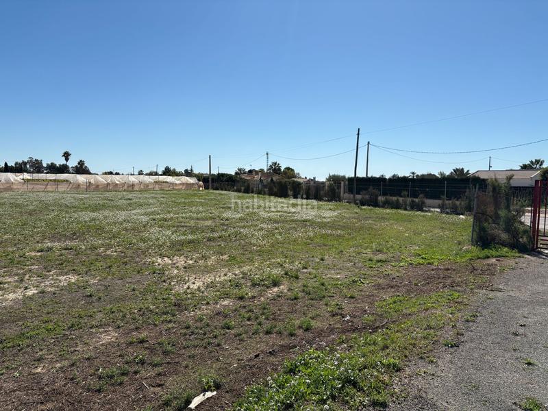 Foto 8d2352c6-fcfc-4f55-8443-3d2a6847eb66. Fondo rustico in Perleta - Maitino Elche / Elx