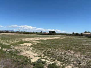 Finca rústica en Perleta - Maitino. Parcela en venta en perleta