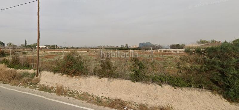 Foto b262513b-d83b-443a-a517-666df389e247. Fondo rustico in Perleta - Maitino Elche / Elx