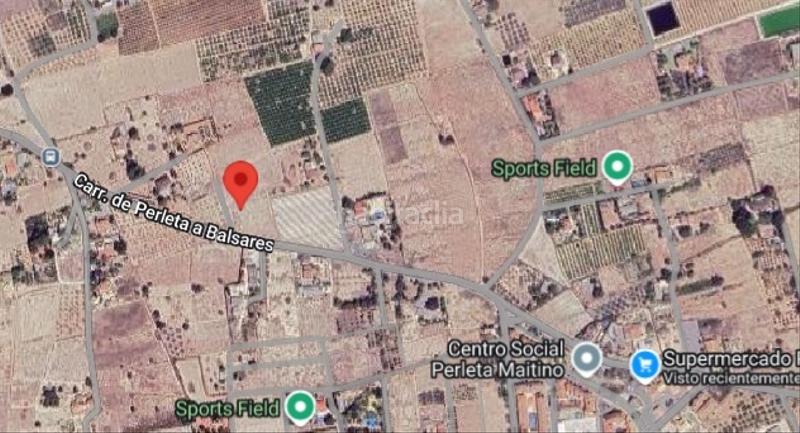 Foto c6a4ba79-b819-4dd0-b614-87a5779e3a1c. Fondo rustico in Perleta - Maitino Elche / Elx