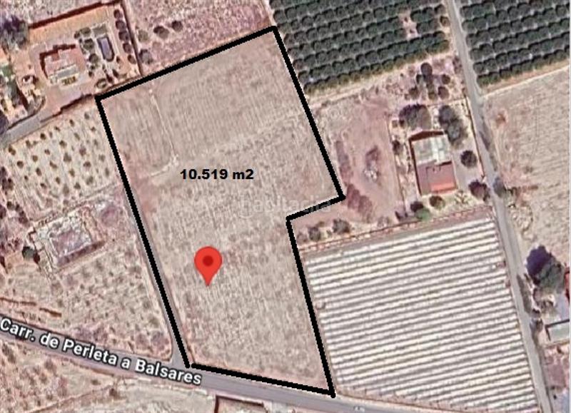 Foto e5af5974-f92e-4fbe-943d-2d933894cd3d. Fondo rustico in Perleta - Maitino Elche / Elx