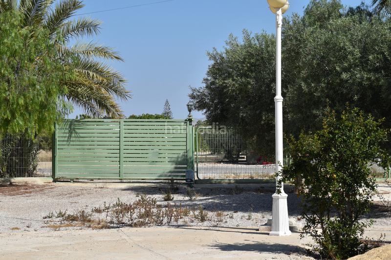 Foto cb8268f1-7889-452d-bff7-a12ed3c095fe. Rural plot in Las Bayas Elche / Elx