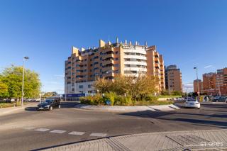 tic  Fuente cisneros