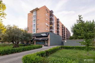 Pis  Parque cabañeros