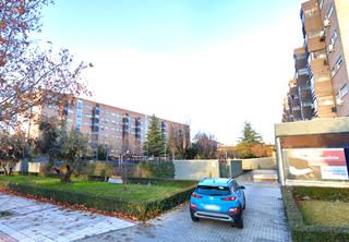 Pis  Parque cabañeros