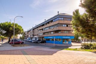 Penthouse  Tordesillas