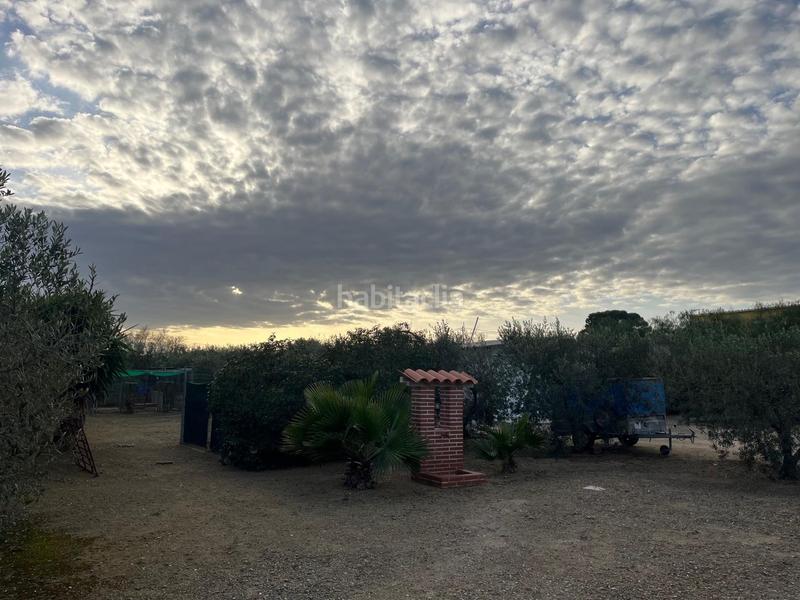 Foto 88ccf46f-f1ab-4b67-95c8-85b7d924096e. Country house with heating parking in Llevant Reus