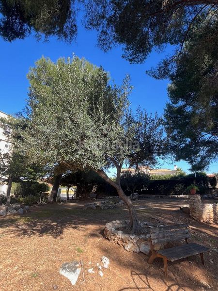 Foto ae0c3fb3-cf97-4c54-93ef-b32e42602c7d. Pis amb calefacció aparcament a pla de maset - cap de Salou Salou