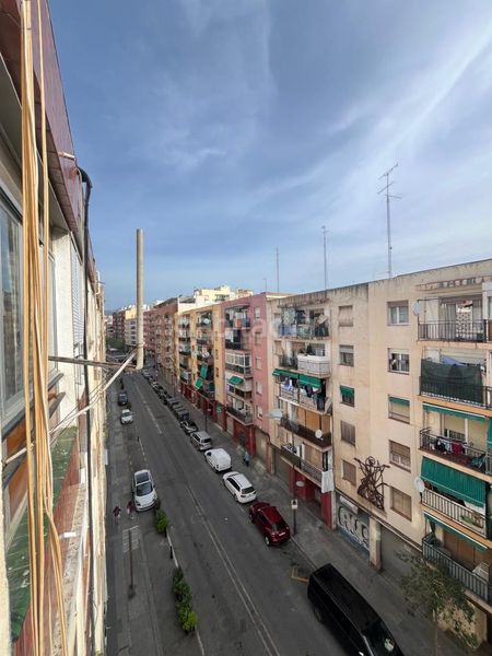 Foto 51ea8c31-bffe-4e63-a733-e1c097fe548f. Pis a Mestral Reus