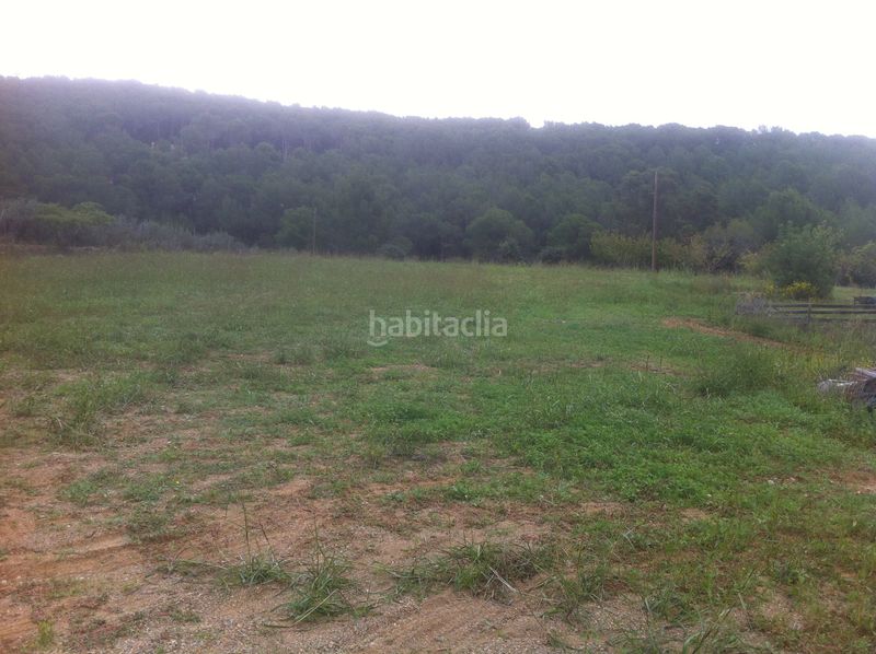 Foto 13a7fb1b-2666-43fc-b58e-ebc2002c4920. Masia amb calefacció aparcament piscina a Almoster