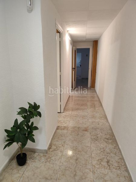 Foto ea8dee3a-f951-4e89-b658-65d394c1cad1. Pis a Centre Reus