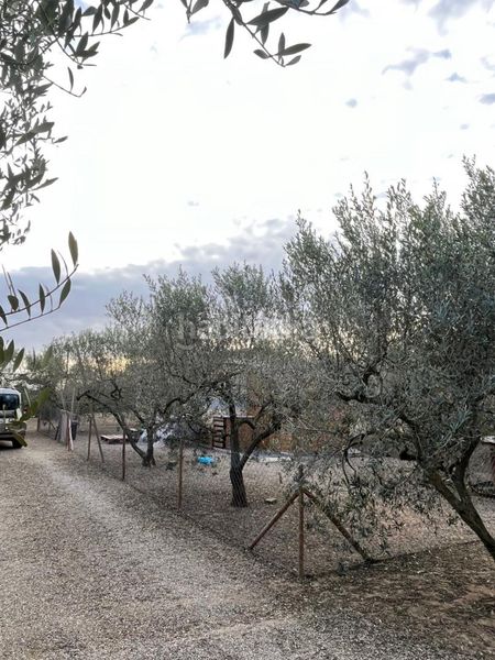Foto 6598159d-60e9-43e8-8016-45638873a86c. Masia amb calefacció aparcament a Llevant Reus