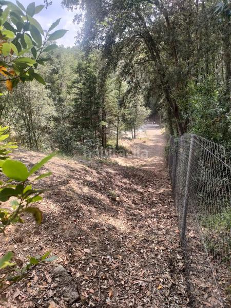 Foto 48e814ad-defa-4c25-8993-9c7973355088. Landgut in Dosrius poble Dosrius