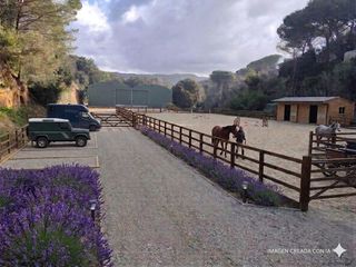 Landgut in Dosrius Poble. Dosrius