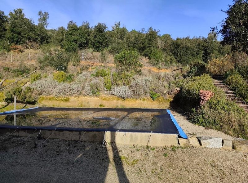 Foto aab7e35c-d6ea-455e-84df-2b3a1e723357. Finca rústica a Dosrius poble Dosrius
