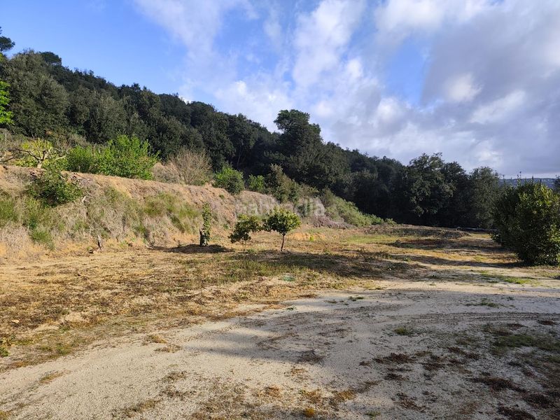 Foto b9a10e1b-6b81-40d0-b408-66c55838ad24. Finca rústica a Dosrius poble Dosrius