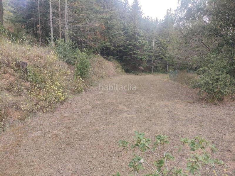 Foto e37f1ada-b62d-42be-8039-7f5a0ba41096. Finca rústica en Dosrius poble Dosrius
