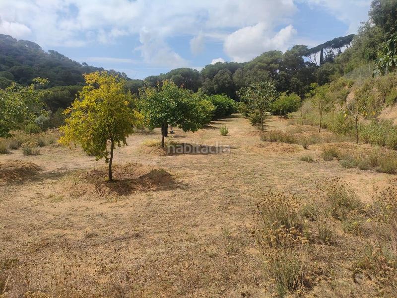 Foto e95e6b63-d9c2-46dd-9db2-bf8c580bfa8c. Finca rústica en Dosrius poble Dosrius