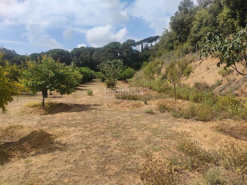 Foto f7814877-e333-4f1f-9f45-926d984de721. Finca rústica a Dosrius poble Dosrius