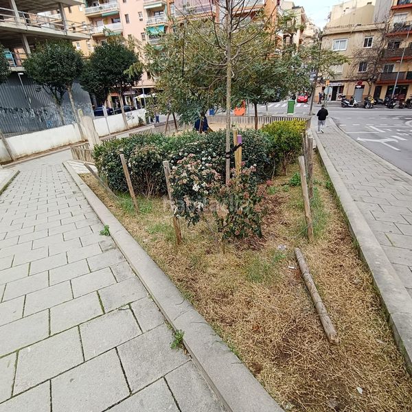 Foto 12696474-3588-4166-94a8-a2673d30f1fb. Pis a Cerdanyola Sud Mataró