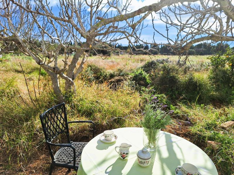 Foto e32e688a-ed1d-4db9-91b9-446eca76600c. Chalet una joya única en el mercado! en La Franquesa-Oasis Park Vendrell (El)