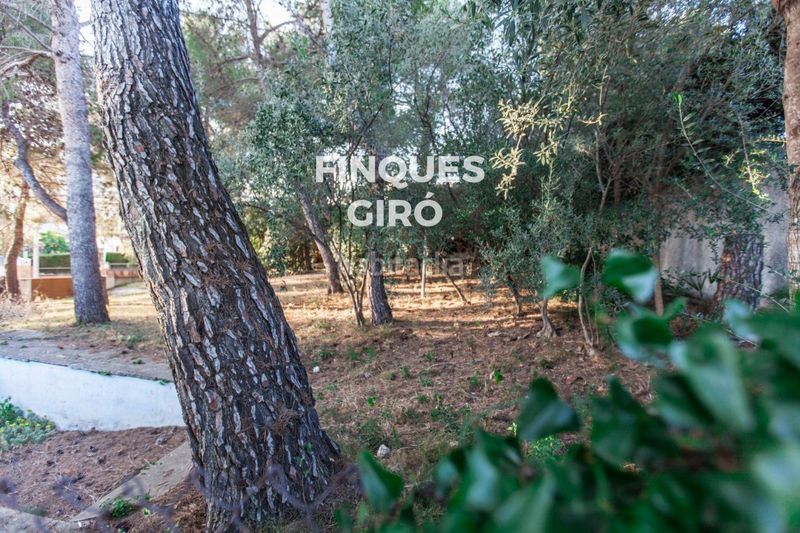 Foto 71c7d067-b61b-4d19-825f-7216961b0cba. Finca rústica a Segur de Calafell nucli urbà Segur de Calafell