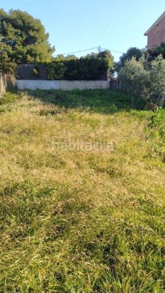 Foto 344cddfa-c724-409c-a0fb-530dfcead201. Finca rústica a La Franquesa-Oasis Park Vendrell (El)