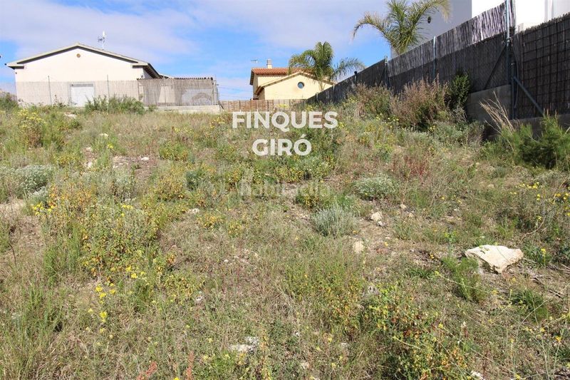 Foto 2f9129fd-5534-421a-9c49-1d5d534f4676. Finca rústica a Bisbal del Penedès (La)