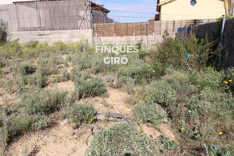 Foto 8180f17e-d45f-4f57-a423-860ed2167b86. Finca rústica a Bisbal del Penedès (La)