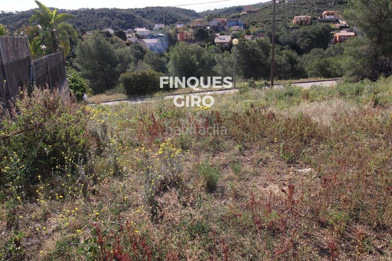 Foto bbb64c84-9a1e-406e-b199-a9319ddc67e4. Finca rústica a Bisbal del Penedès (La)