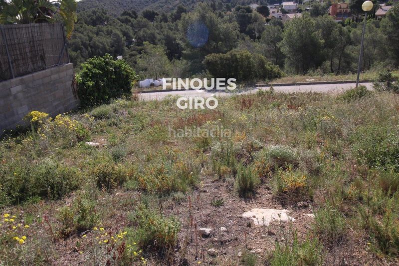 Foto f6495a22-088d-444b-aedc-b9ca3e093303. Finca rústica a Bisbal del Penedès (La)